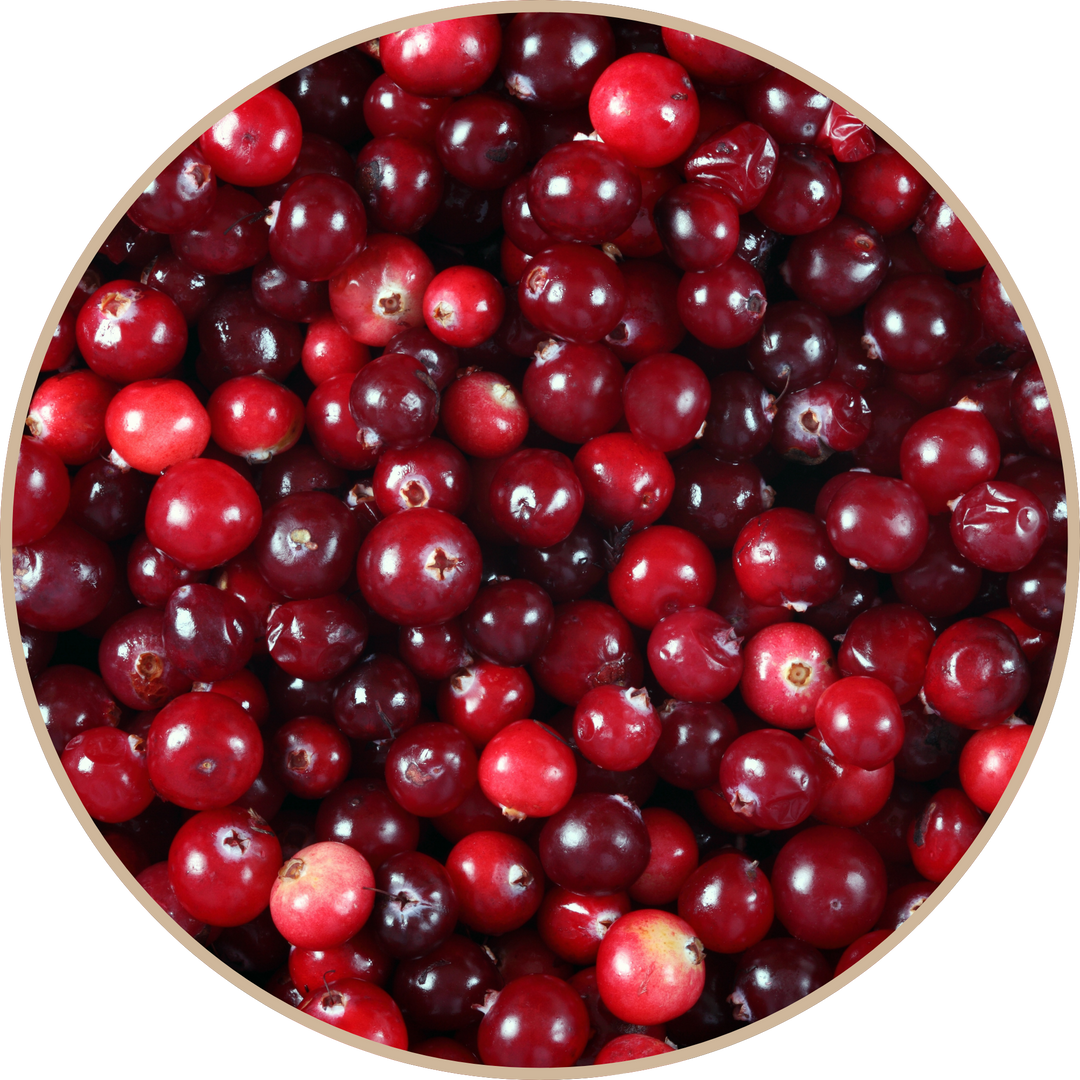 Cranberry Oil