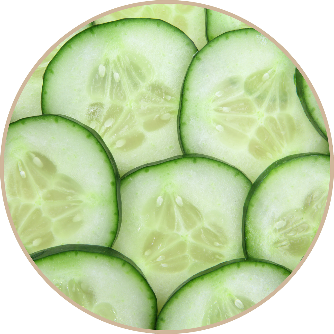 Cucumber Oil